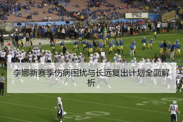李娜新赛季伤病困扰与长远复出计划全面解析